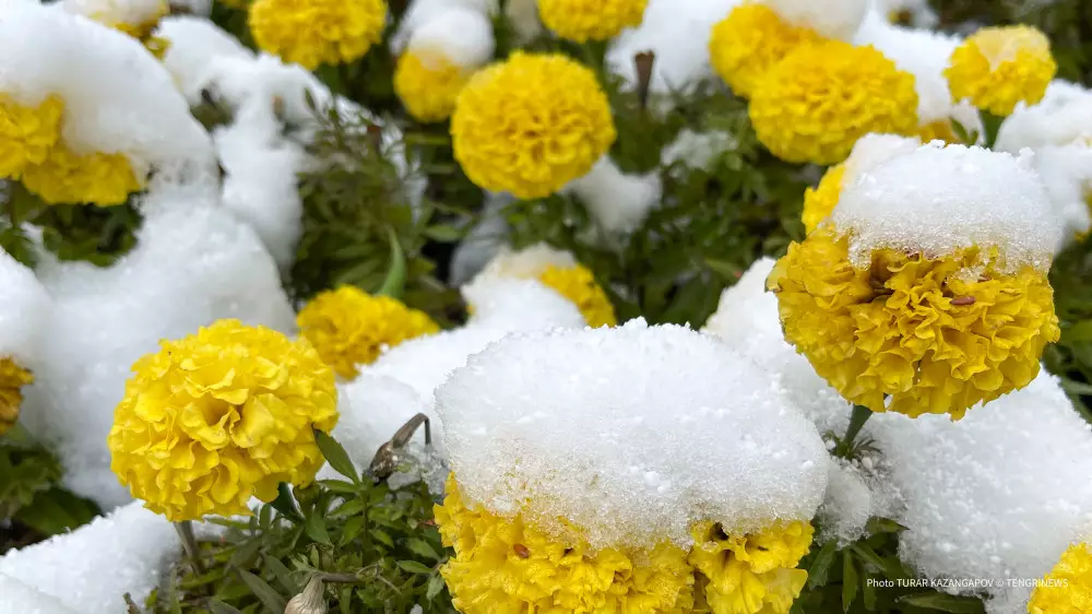 Синоптики не исключают снег в Астане вплоть до июня