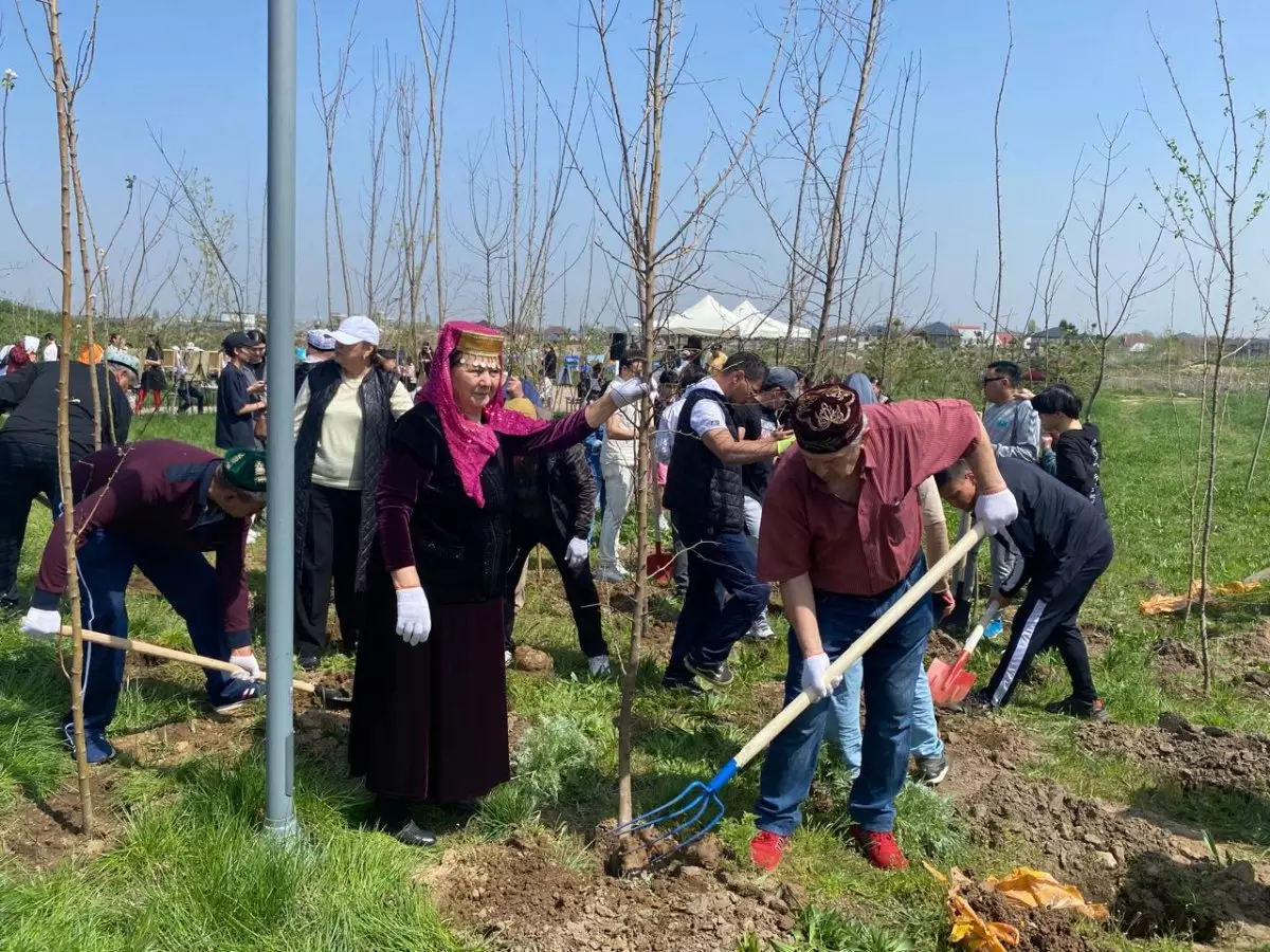 «Алматы — наш общий дом»: в Наурызбайском районе посадили яблони и карагачи