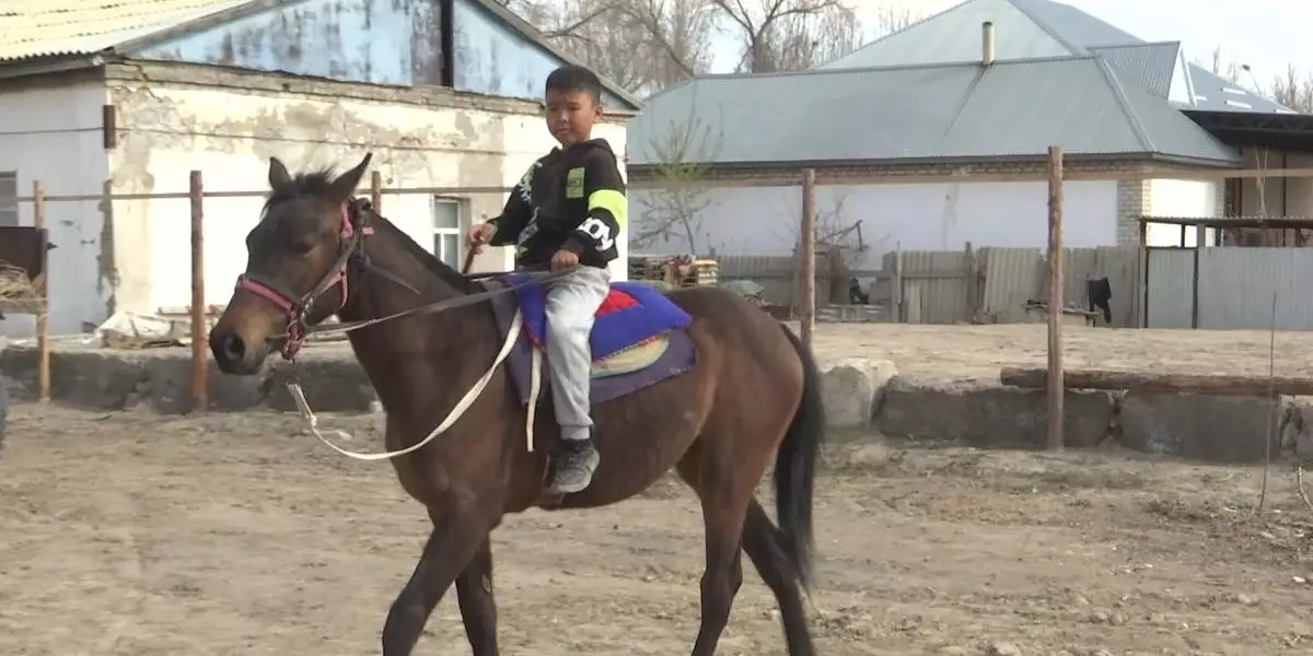 Қызылордалық 9 жастағы бала ат құлағында ойнайды (ВИДЕО)