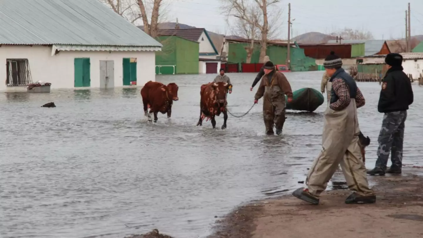 Наводнение в СКО: спасатели рассказали о промежуточных итогах работы