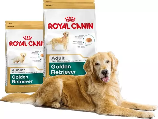 Royal Canin: начало эпохи здорового питания для животных