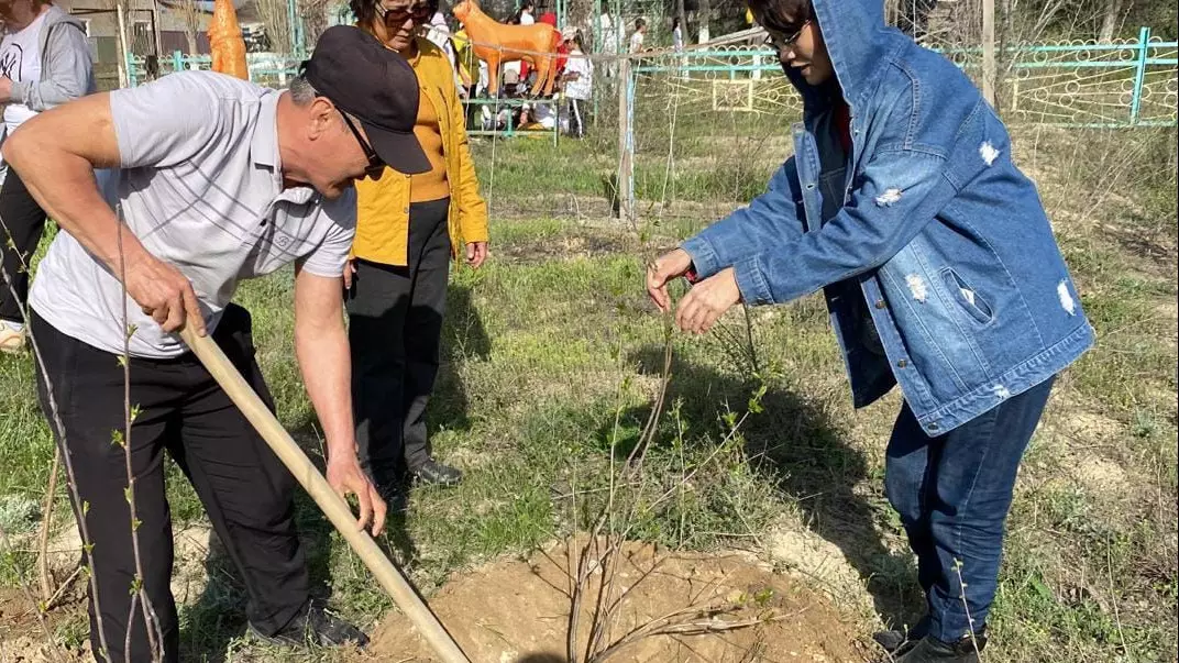 Учащиеся области Абай посадили около 150 деревьев