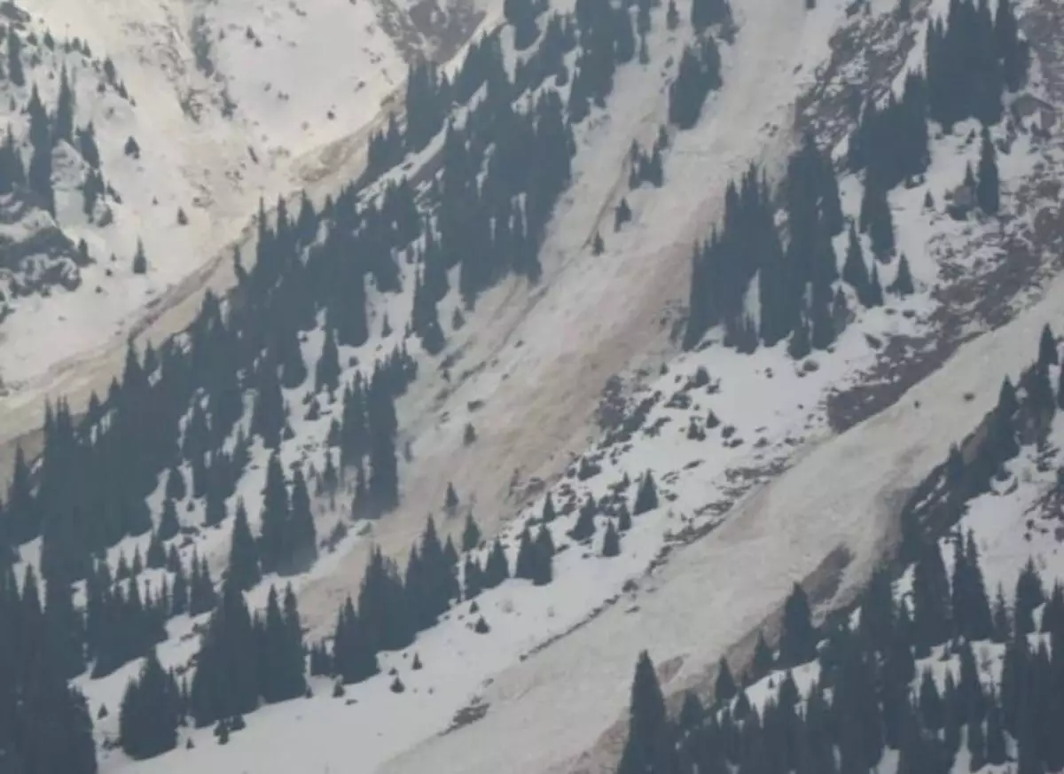 Грунтовая лавина сошла в горах Алматы