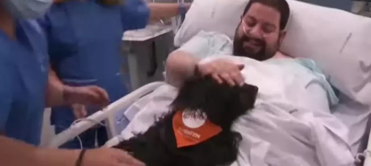 Собаки-терапевты будут лечить людей в больницах Барселоны