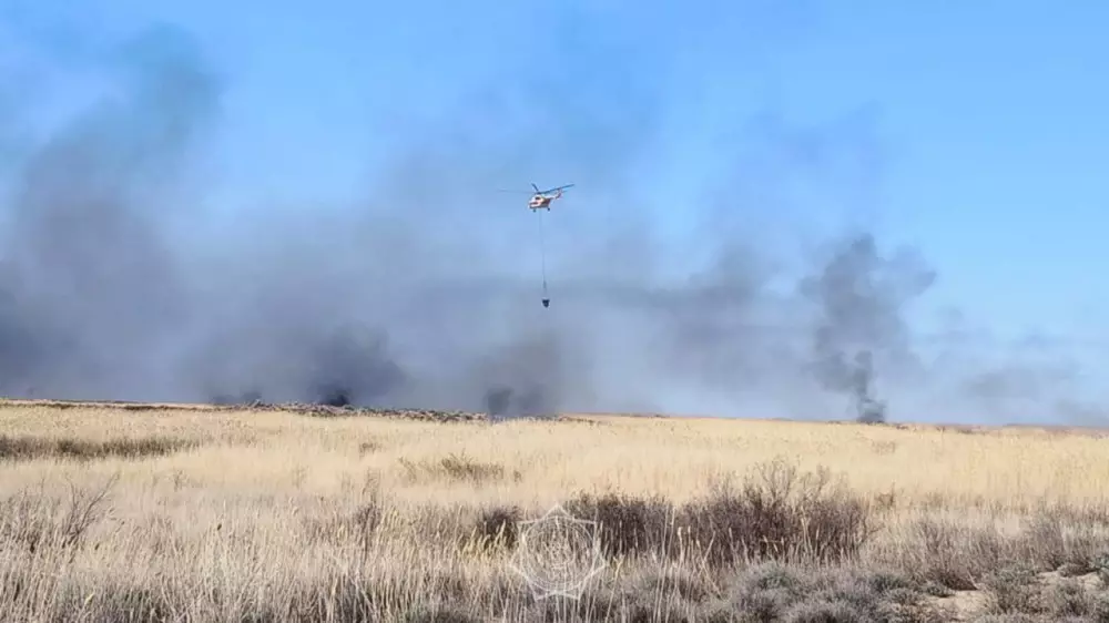 Пожар вспыхнул в природном резервате на юге Казахстана