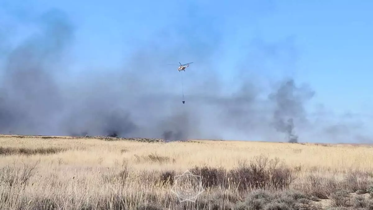 Камыш горит на площади 18 гектаров в резервате в Алматинской области