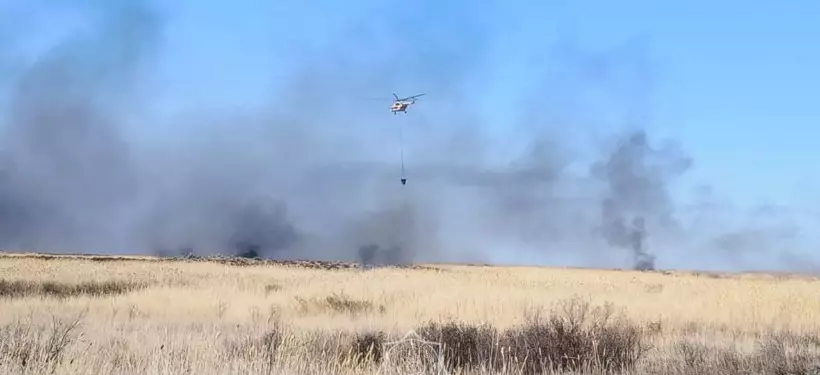 Крупный пожар разгорелся в природном резервате на юге Казахстана