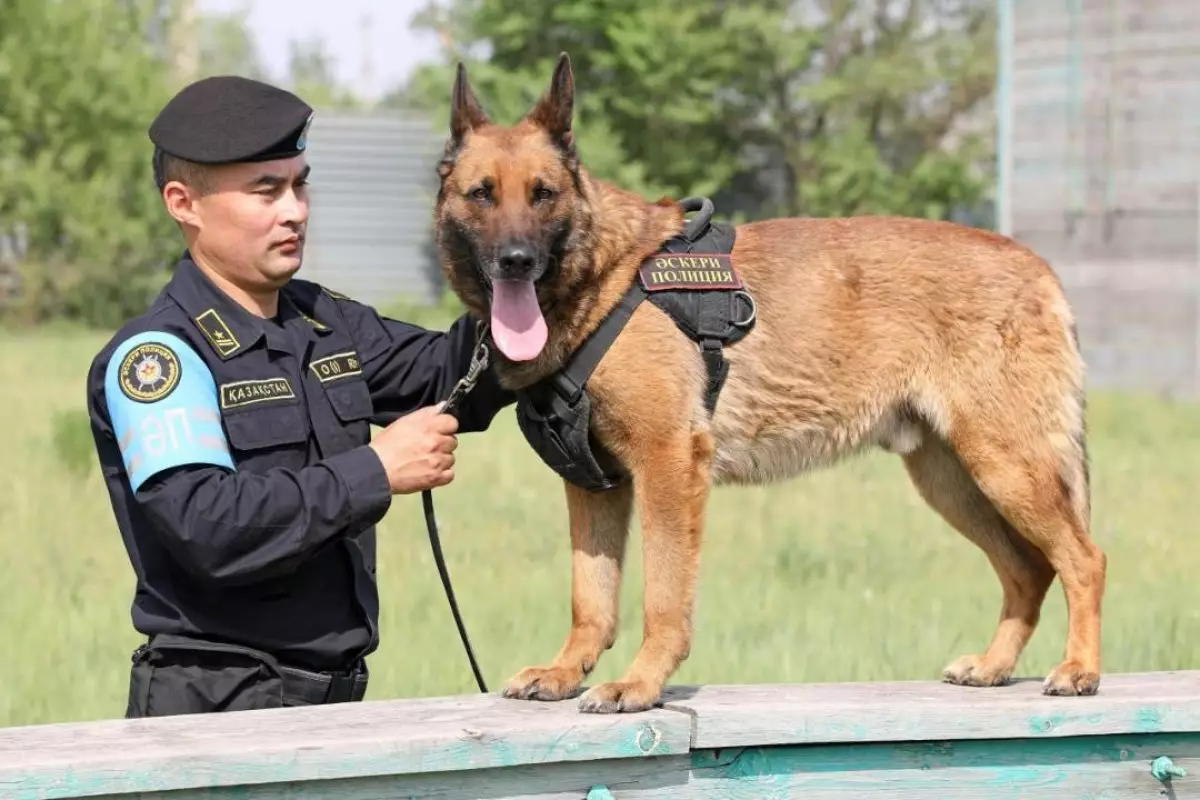 В Казахстане военная полиция отмечает профессиональный праздник