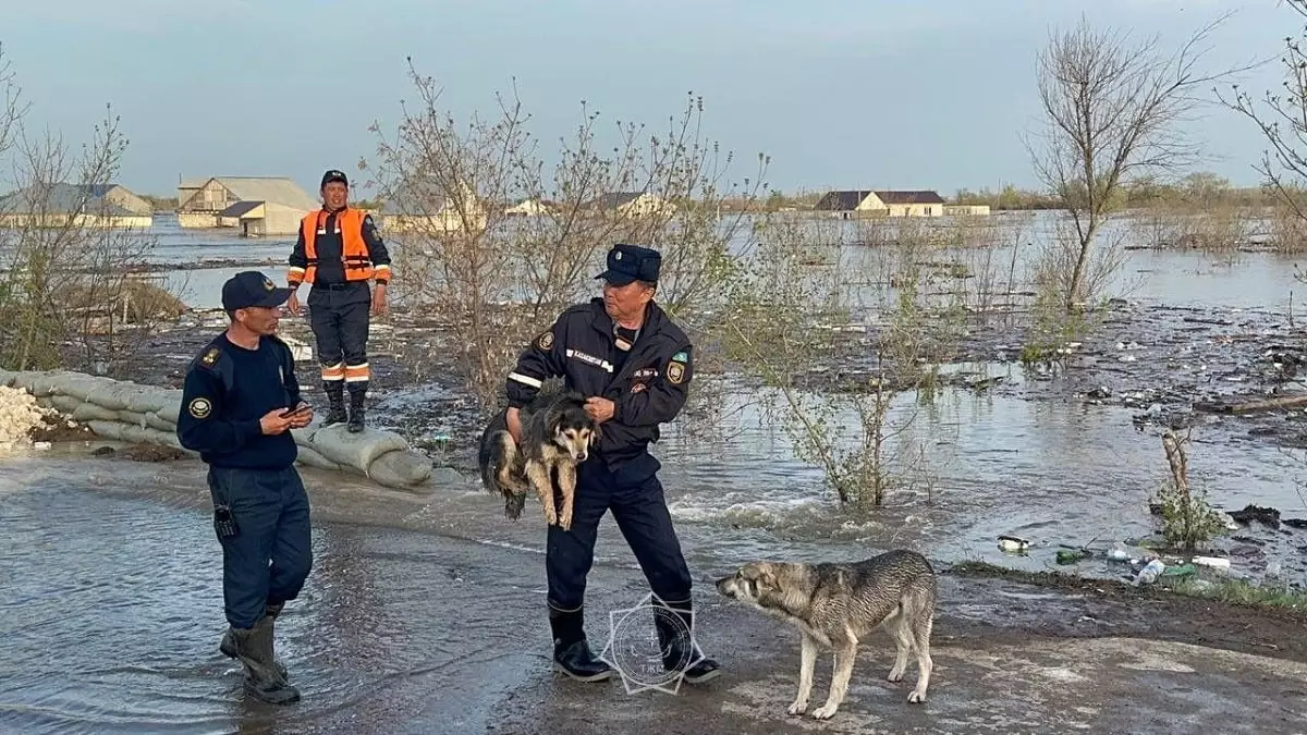 Паводки в Западном Казахстане: эвакуировано более 13 000 человек
