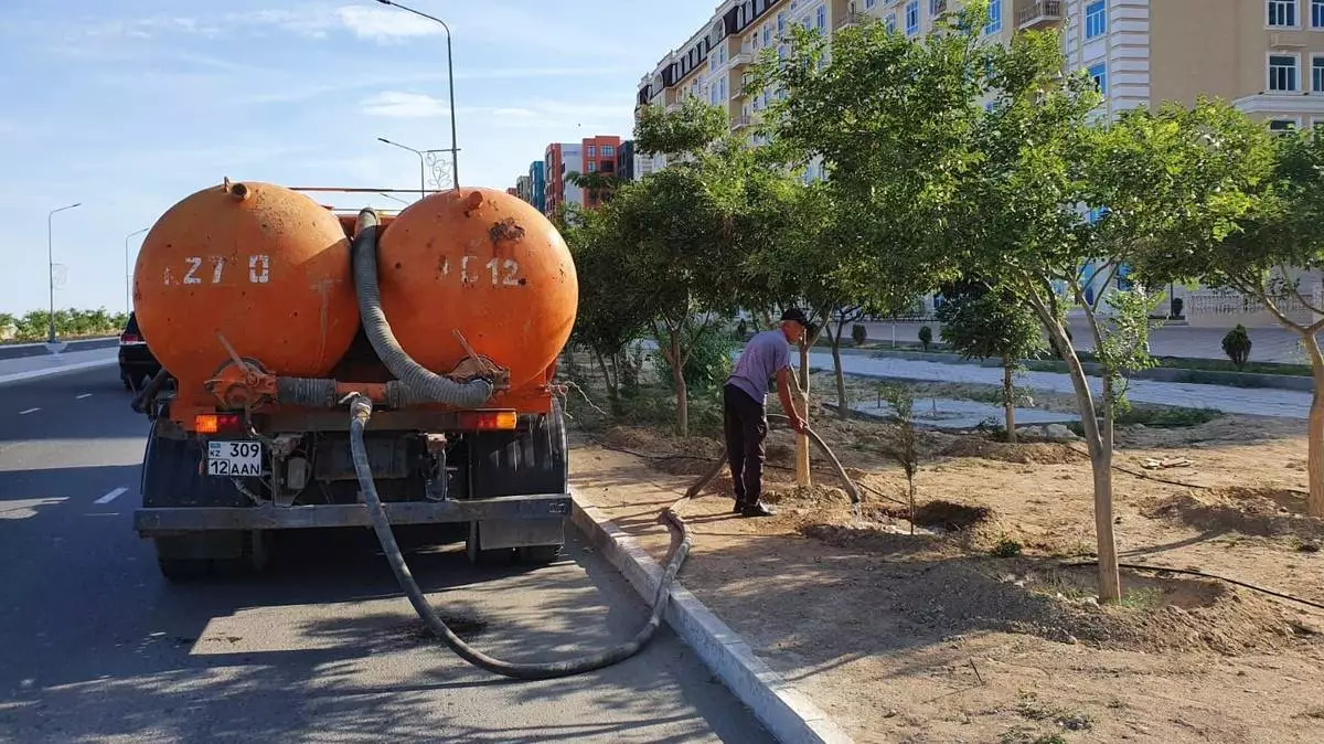 В Актау планируют поливать деревья с использованием воды из центральной системы водоснабжения