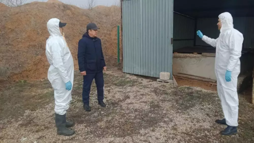 Захоронения с сибирской язвой затопило во время паводков в Актюбинской области