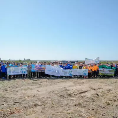 На защиту леса – самую массовую акцию высадки саженцев провели в области Абай