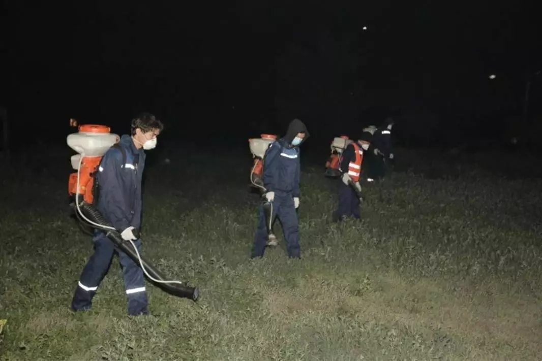 О ядовитой опасности ночных прогулок в парках и скверах предупредили астанчан