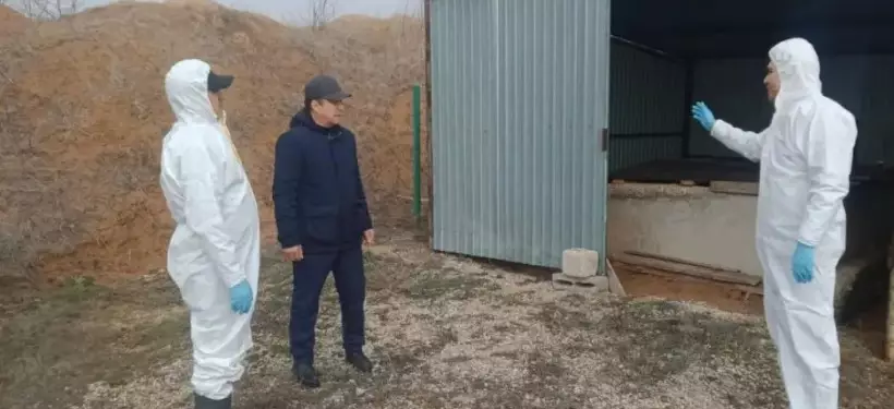 Сибиреязвенные захоронения затопило в Актюбинской области