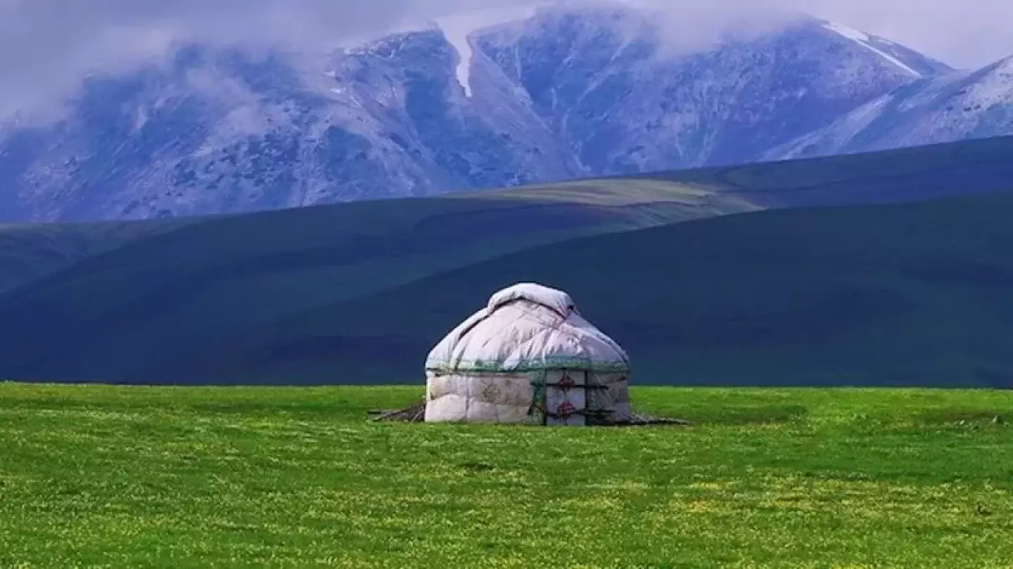 Удивительные факты о природе Казахстана