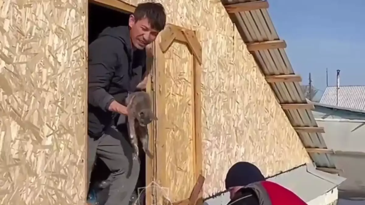 Уральские спасатели поделились кадрами спасения животных