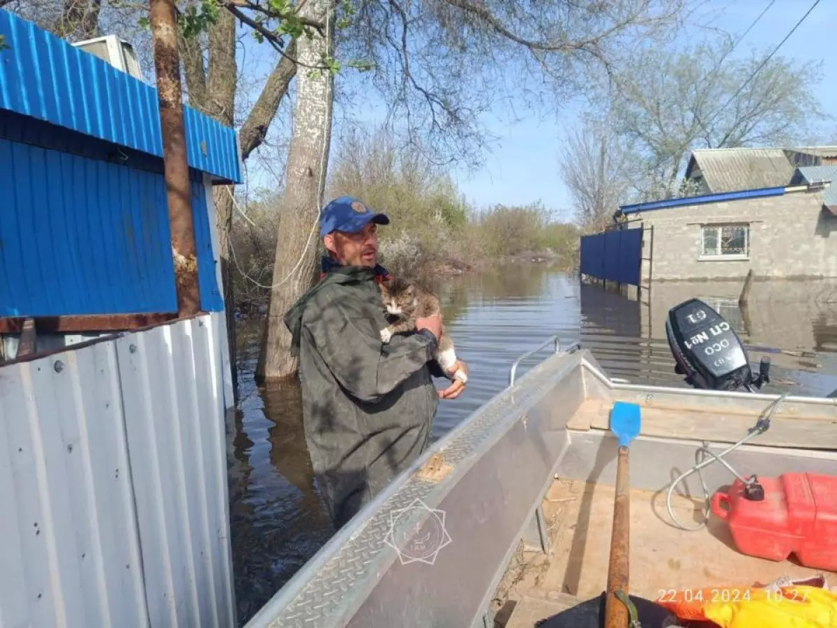 Озвучены новые данные о наводнениях в Казахстане