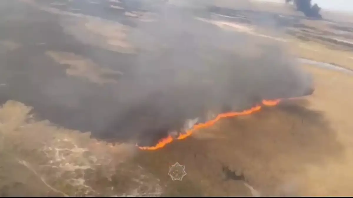 Сухостой горит в Алматинской области