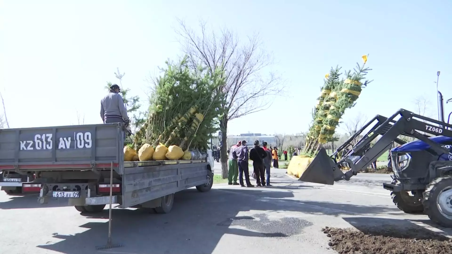 Более 90 тысяч саженцев посадят в городах и районах Карагандинской области