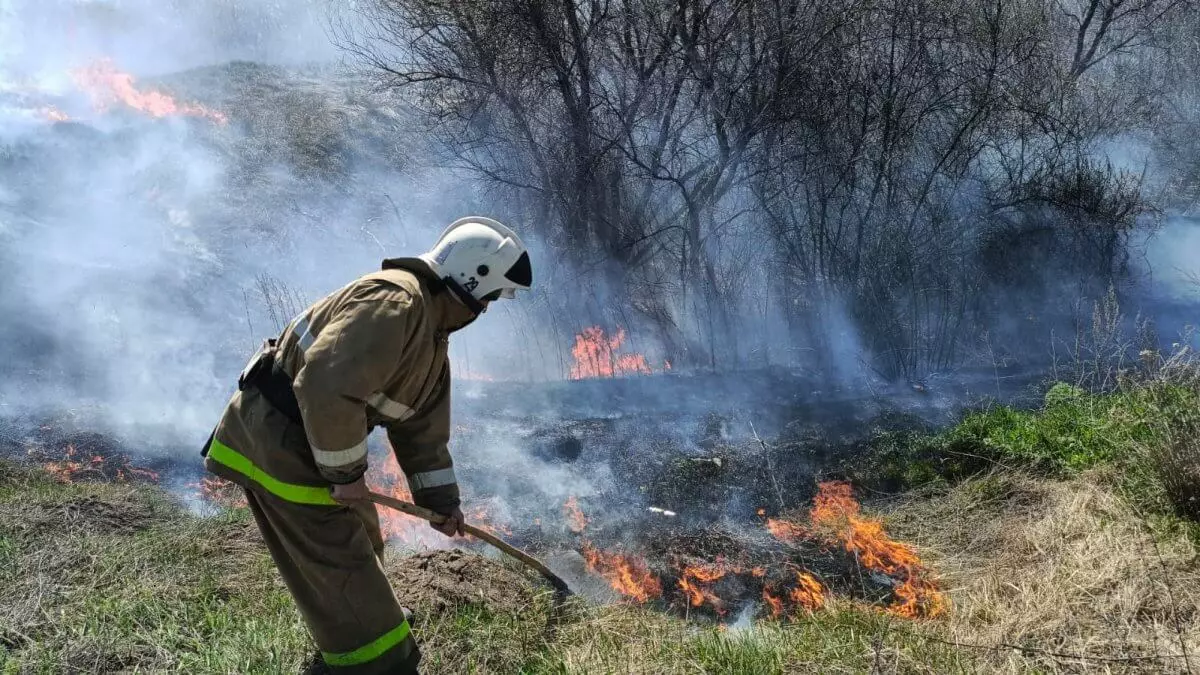 Возгорания травы и мусора участились в Казахстане в апреле