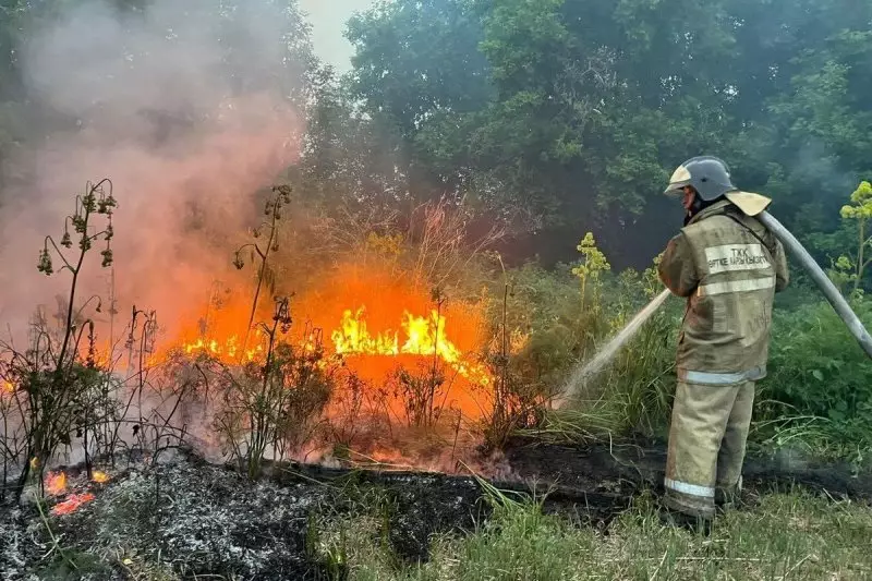 В Казахстане уже четвертые сутки не могут потушить природный пожар