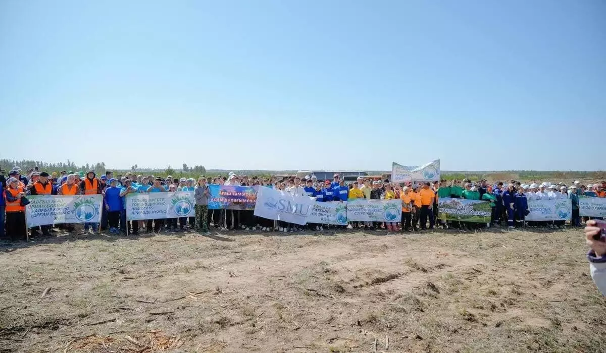 Восстановление сгоревшего соснового бора: Токаев поддержал инициативу жителей Абайской области