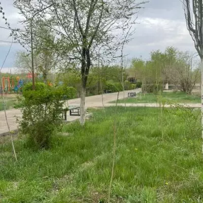 &#8220;Таза Қазақстан&#8221;: в Жезказгане высадили 100 деревьев