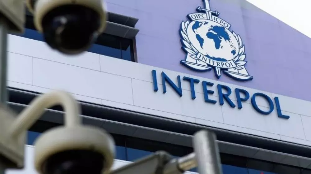 Казахстанцы ездят на авто, которые разыскивает Интерпол
