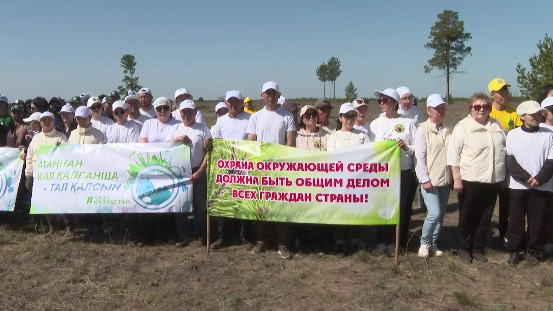 Токаев поддержал инициативу семейчан по восстановлению сгоревшего соснового бора