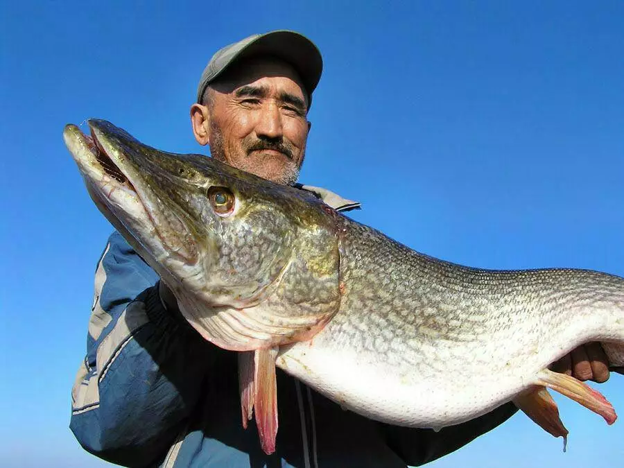 Казахстанцы стали меньше есть рыбы и морепродуктов