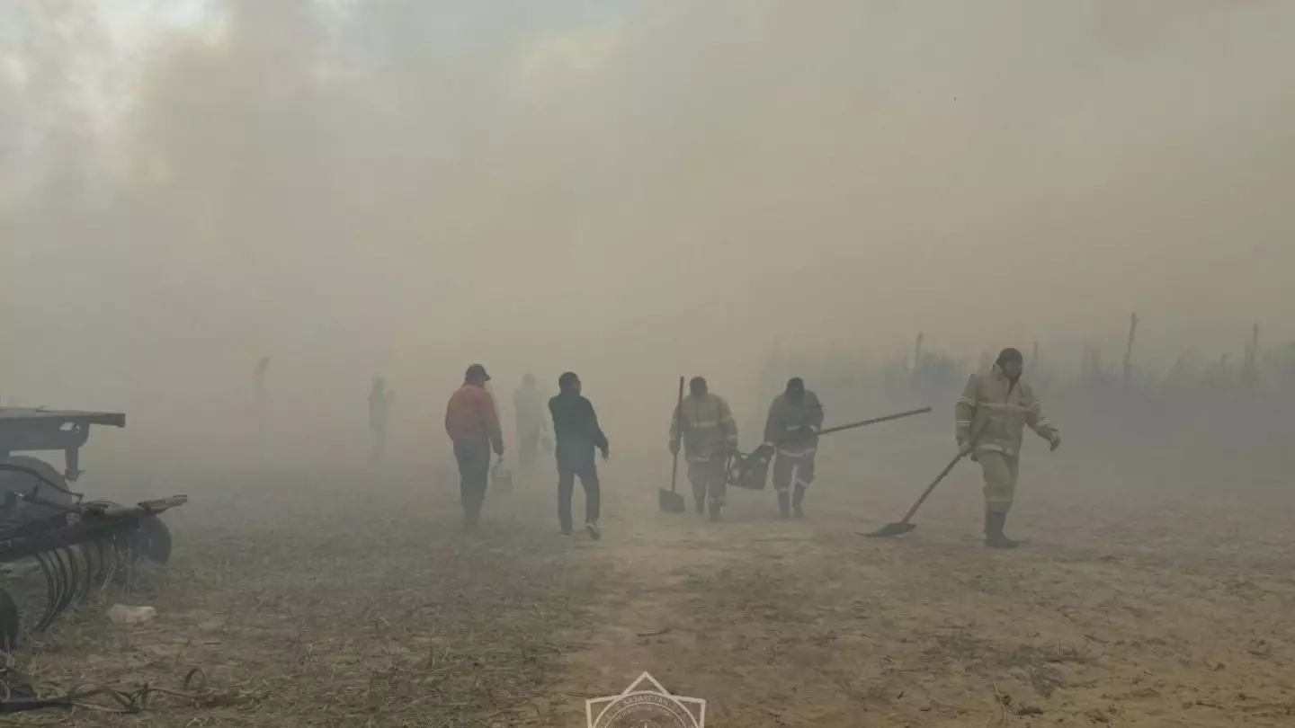 Возбуждено уголовное дело после пожара в природном резервате Алматинской области