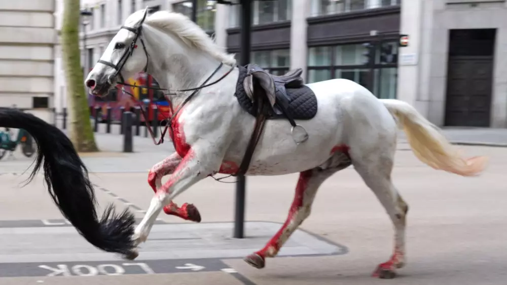 Обезумевшие от страха лошади устроили переполох в центре Лондона