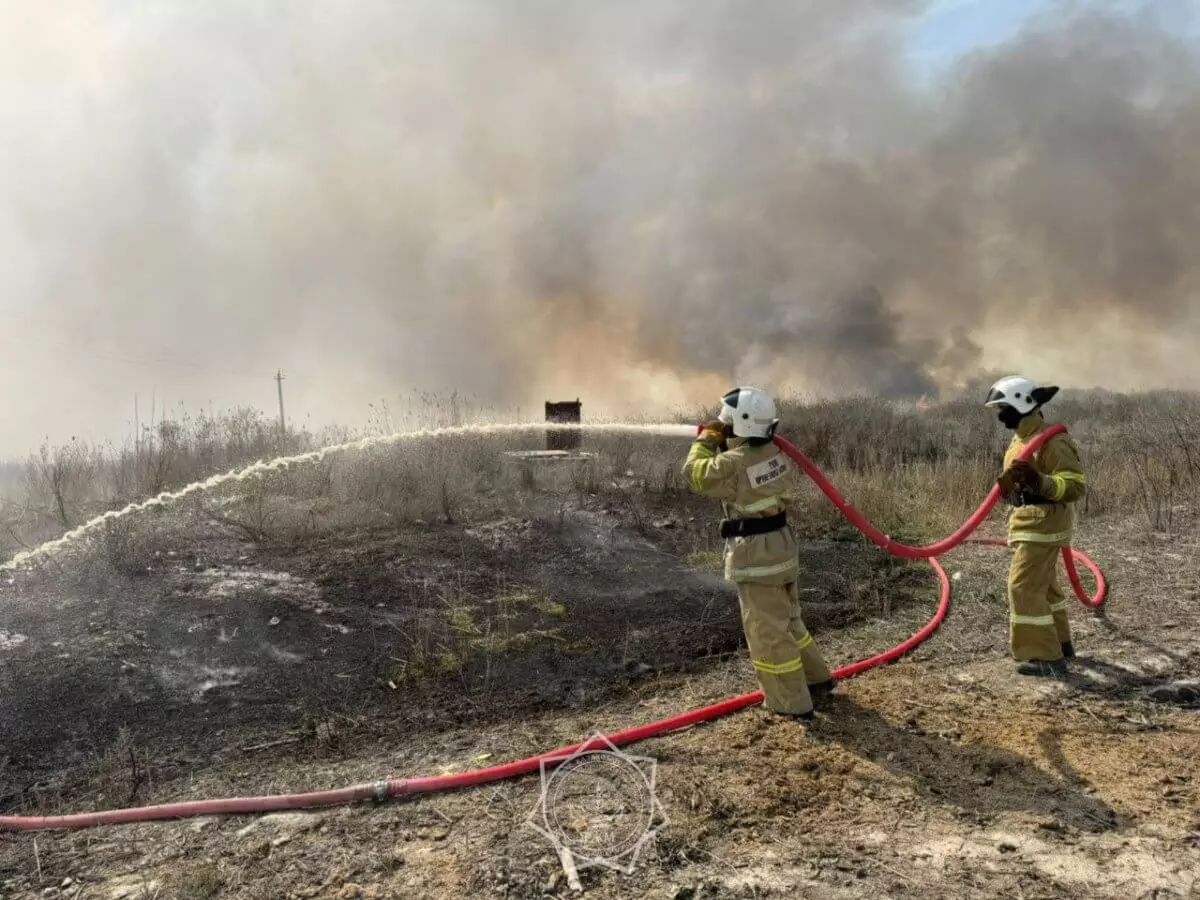 До восьми лет тюрьмы грозит виновнику крупного пожара в Алматинской области (ВИДЕО)