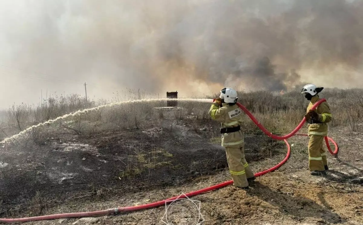По факту лесного пожара в Алматинской области завели уголовное дело (ВИДЕО)