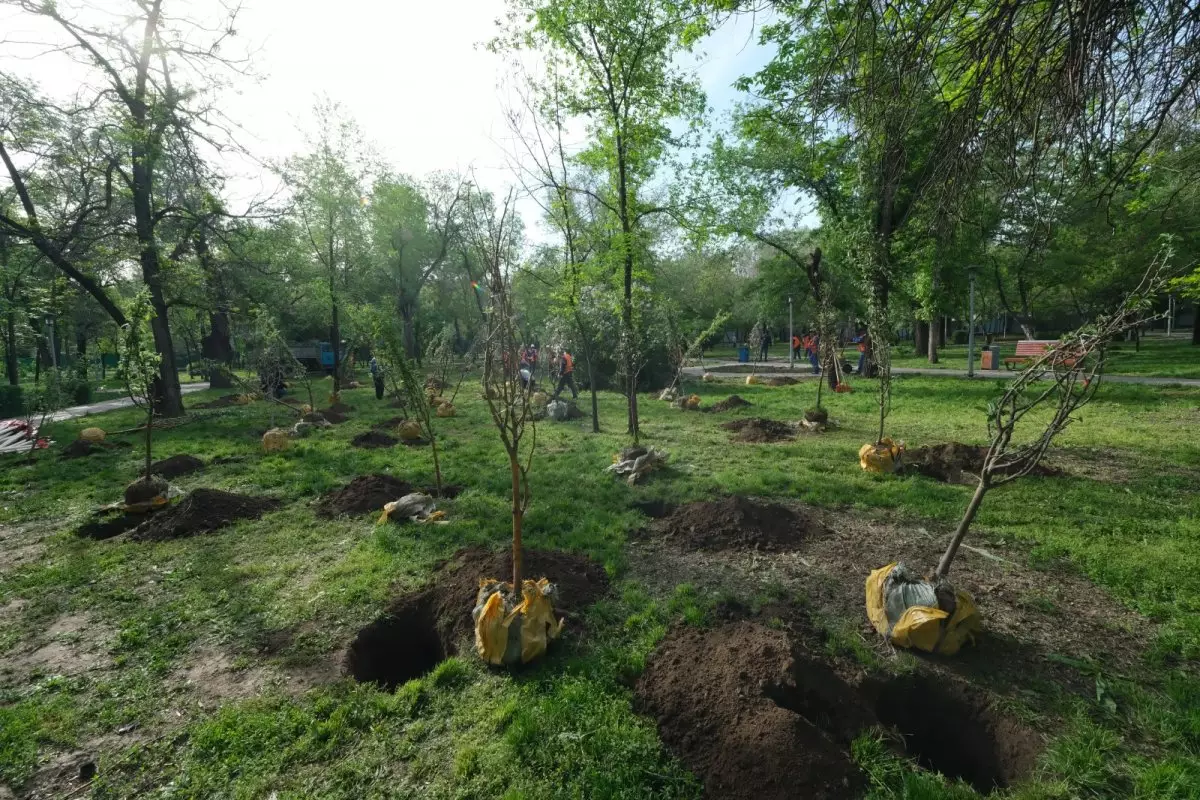 «Алматы - город-сад»: в мегаполисе появятся новые яблоневые сады