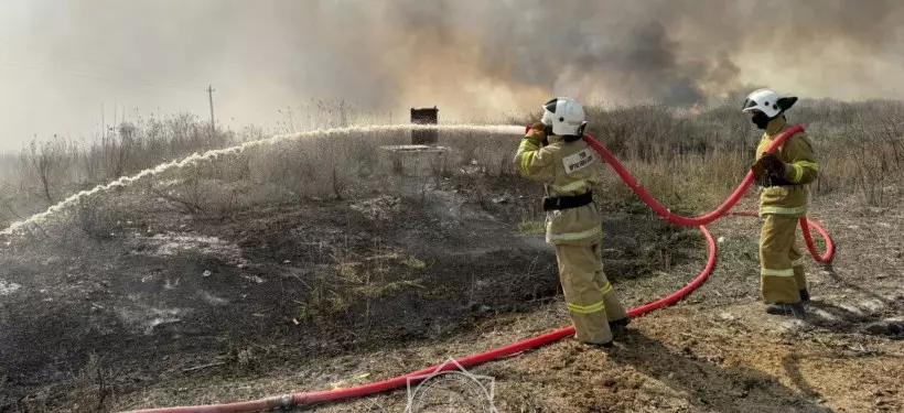 Пожар в Алматинском природном резервате: заведено уголовное дело
