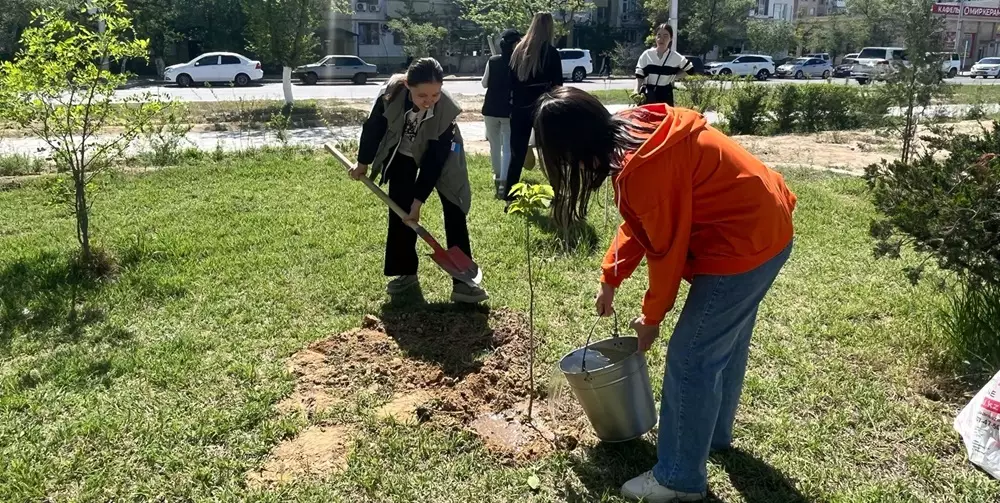 В Актау геологи посадили деревья в рамках акции «Таза Казахстан»
