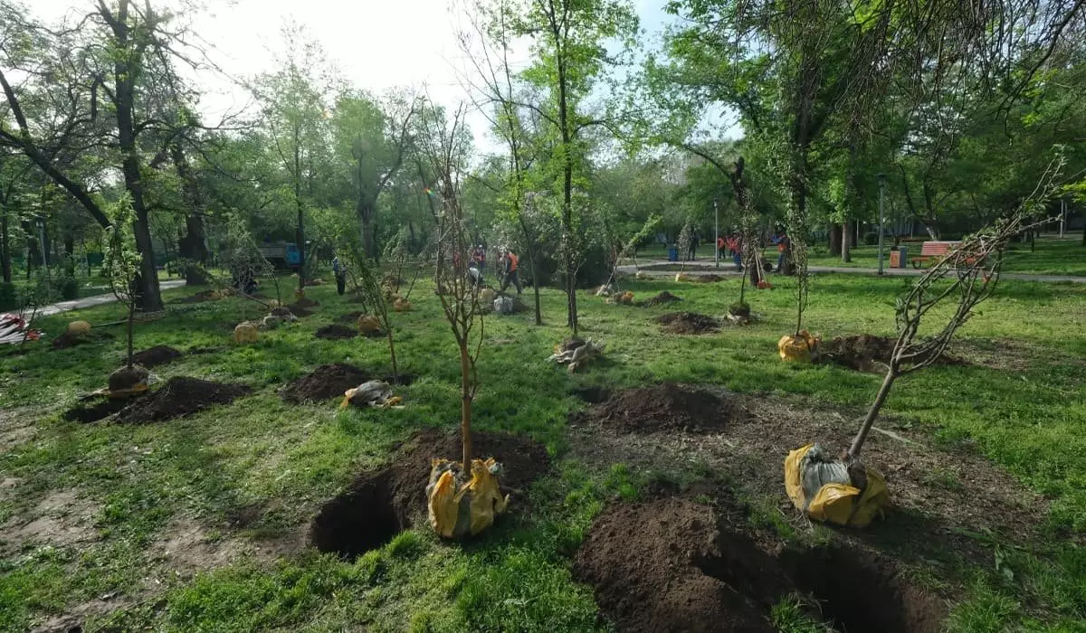 «Алматы – город-сад»: посади дерево в своем любимом городе