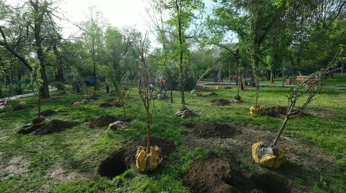 Яблоневые сады появятся в Алматы