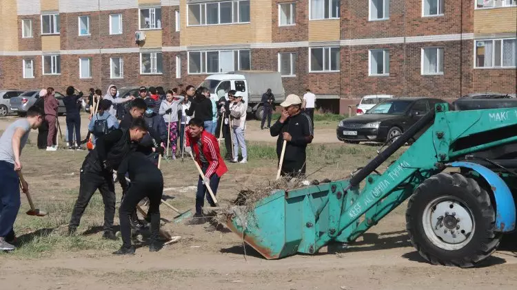 Более 500 саженцев высадили в Павлодарской области
