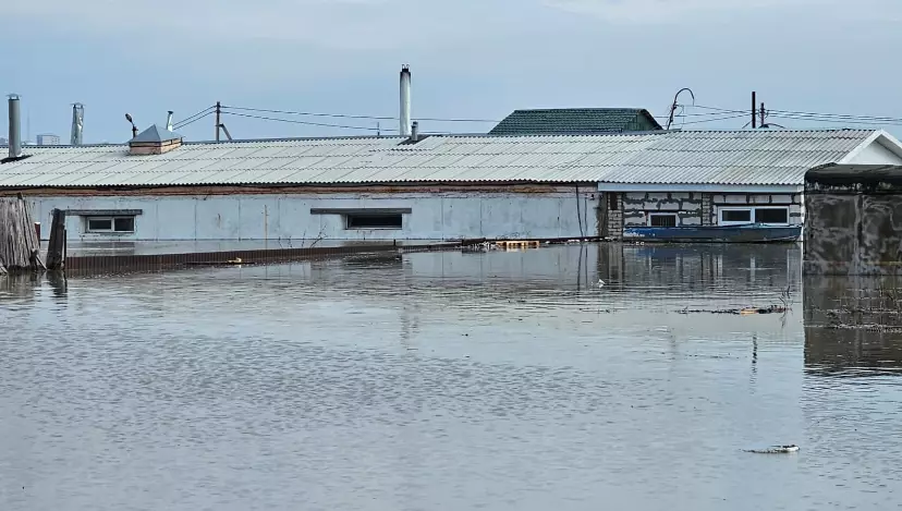 Почти 100 предприятий пострадали от паводка в СКО