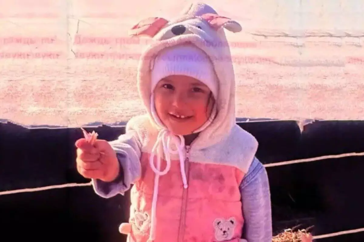 Трехлетняя девочка пропала в Алматинской области: заведено дело об убийстве