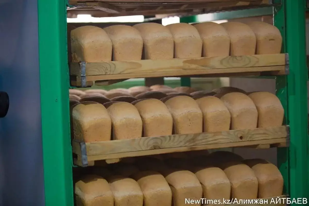 Депутат из Жамбылской области предложил повысить цену на хлеб до 500 тенге