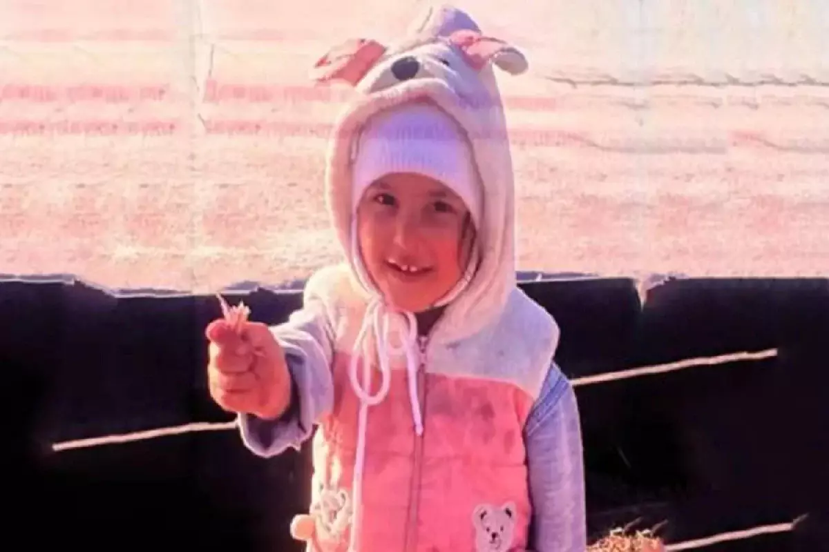 Пропавшую в Алматинской области 3-летнюю девочку могли убить