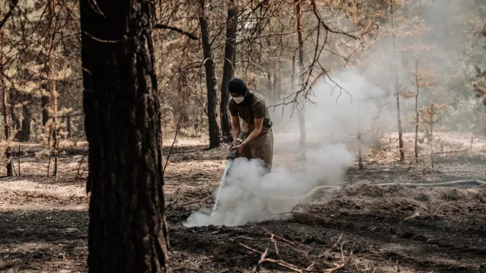 В области Абай снова горит лес