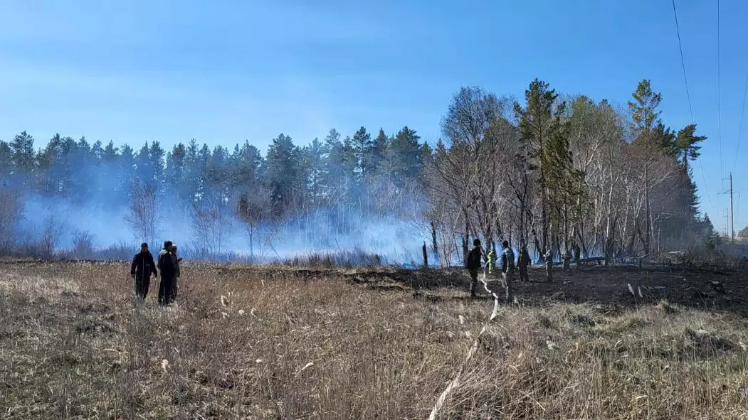 Природный пожар тушат в резервате "Семей Орманы"