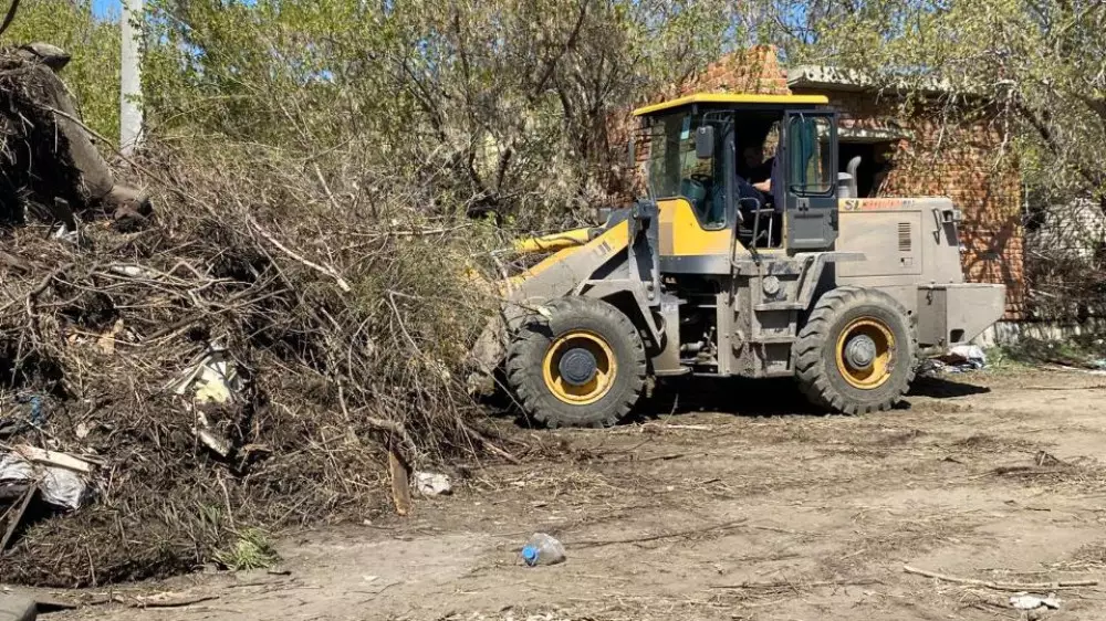 "Утопали в воде, теперь - в камыше": заторы из мусора начали расчищать в Костанае