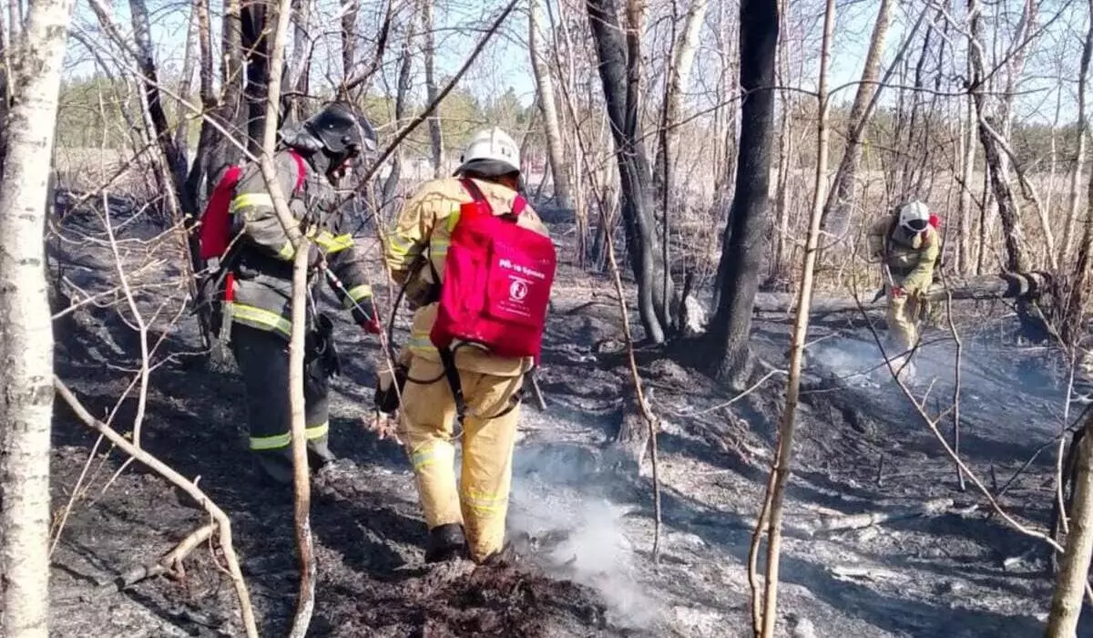 Лес снова горит в Абайской области (ВИДЕО)