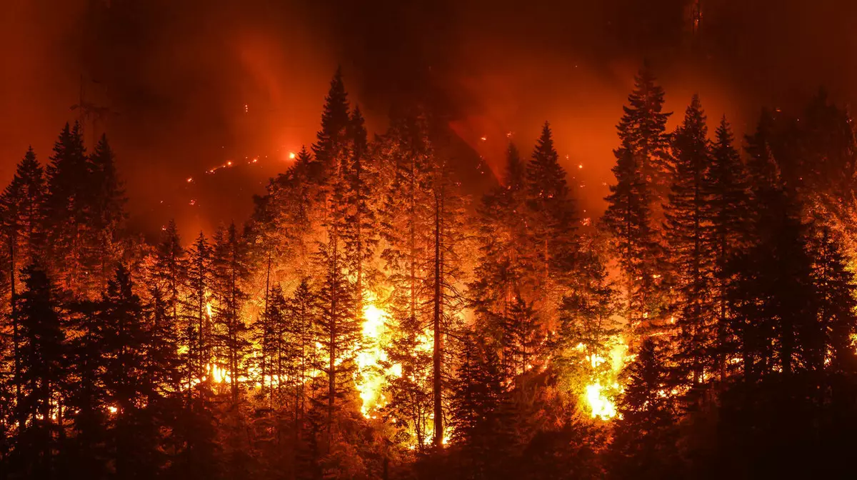 В «Семей Орманы» горит лес