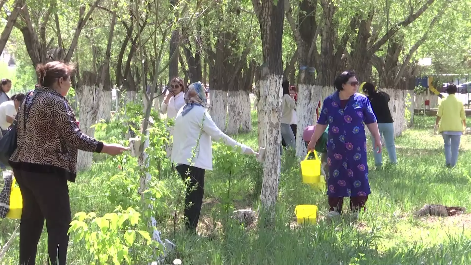 Қызылордада «Таза Қазақстан» республикалық экологиялық акциясы аясында қарқынды жұмыстар жүруде